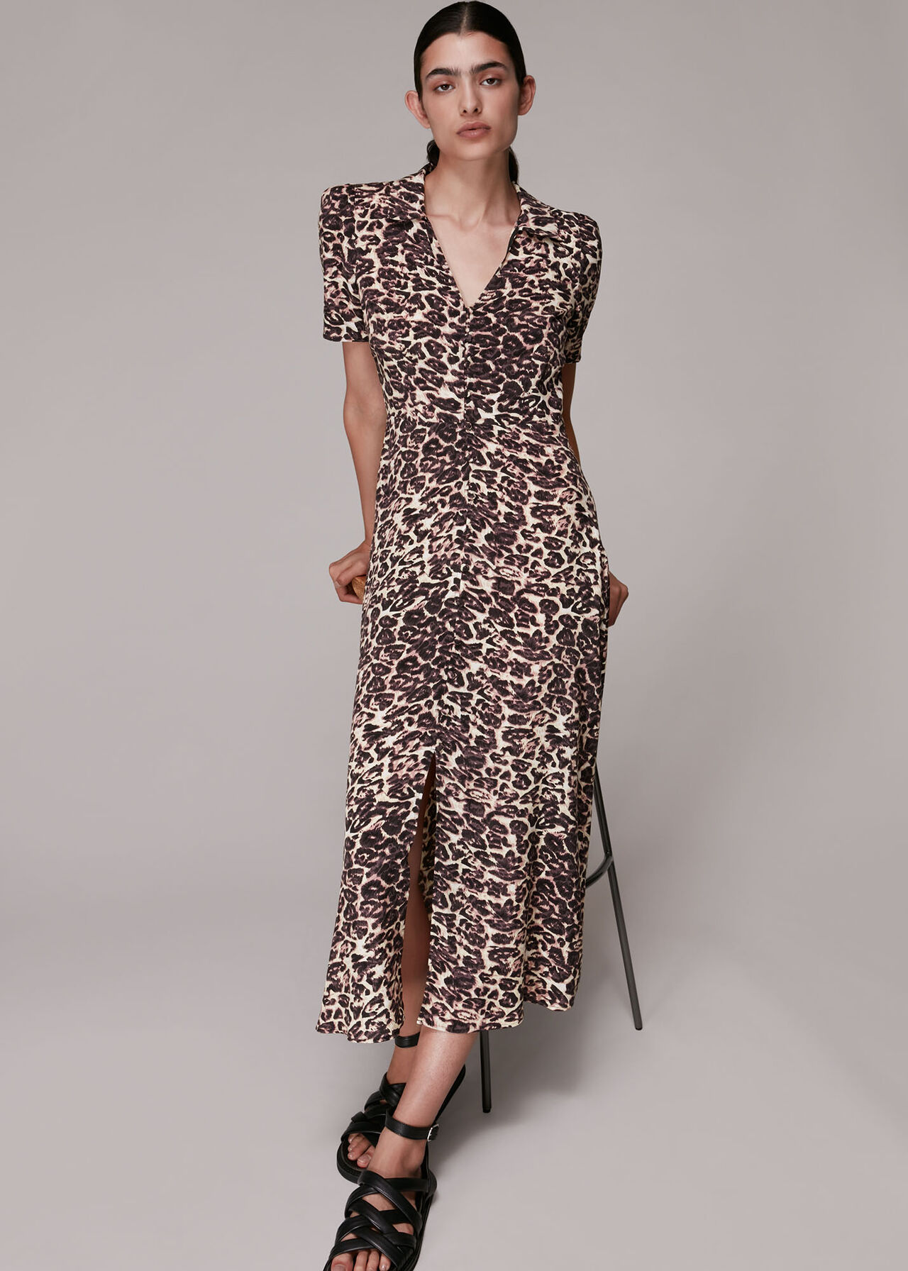 Rowan Clouded Leopard Dress