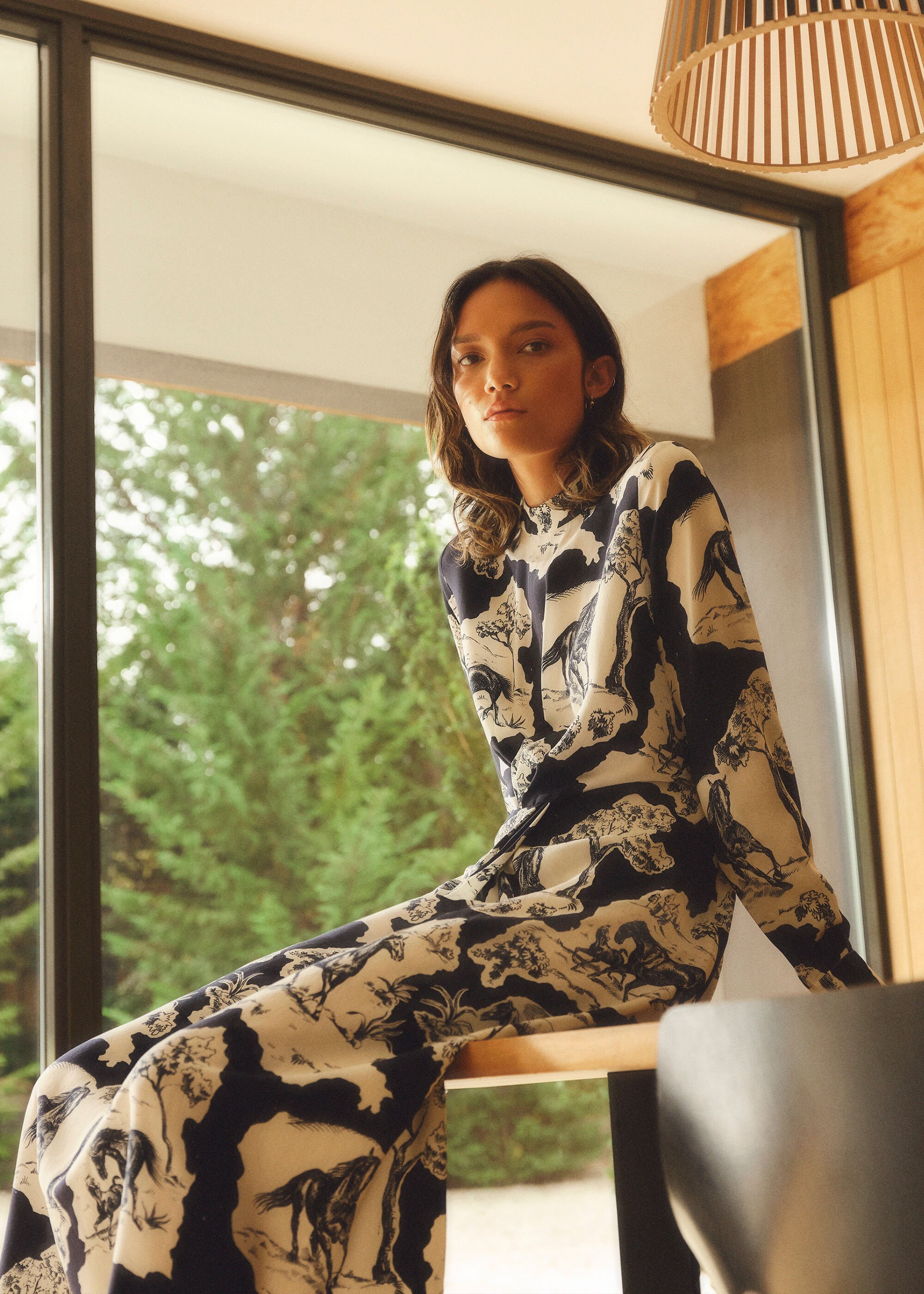 Whistles stallion shop print shirt dress