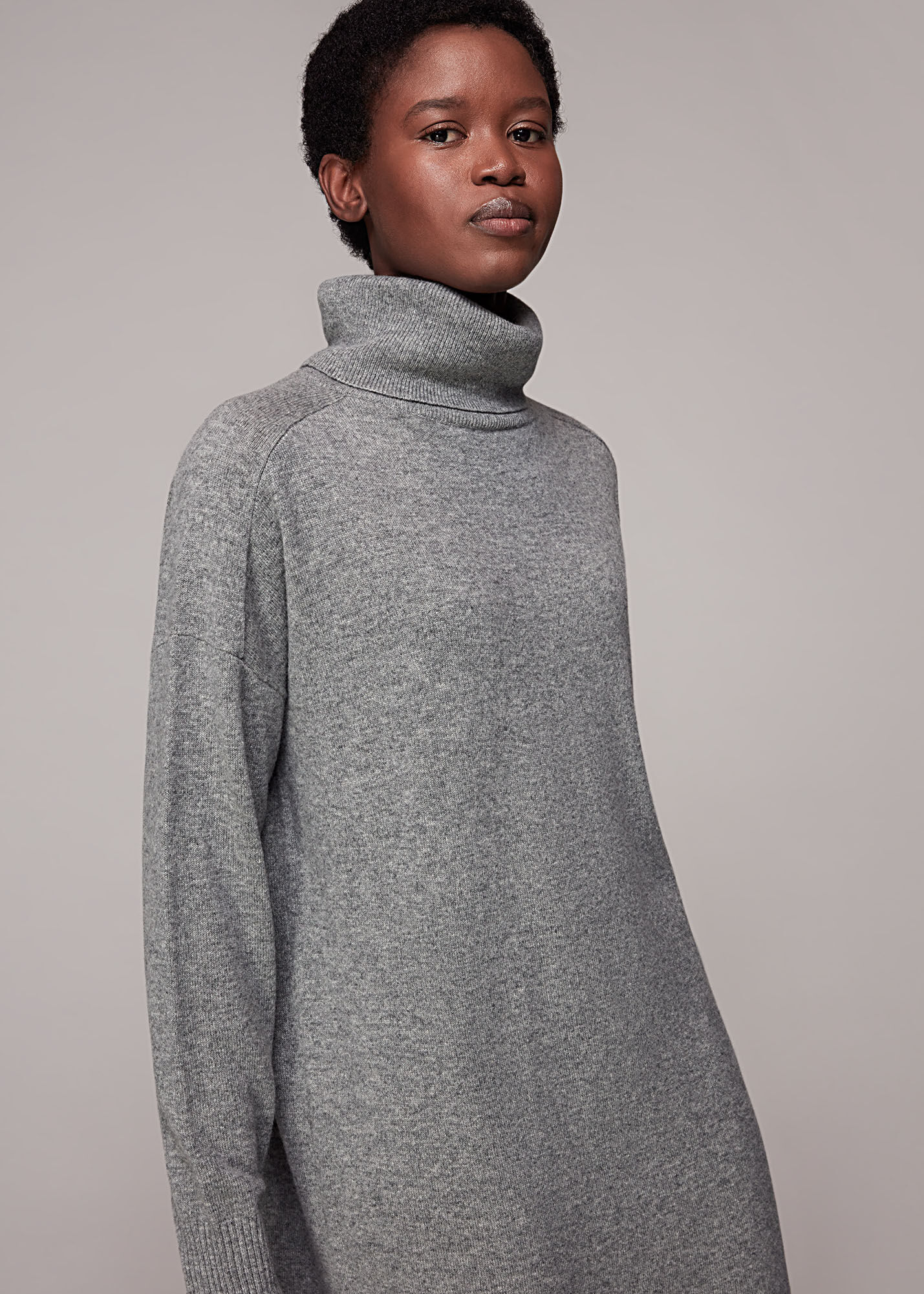 Roll sales neck dress