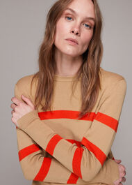 Stripe Crew Neck Knit