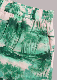 Waving Palms Sammy Short