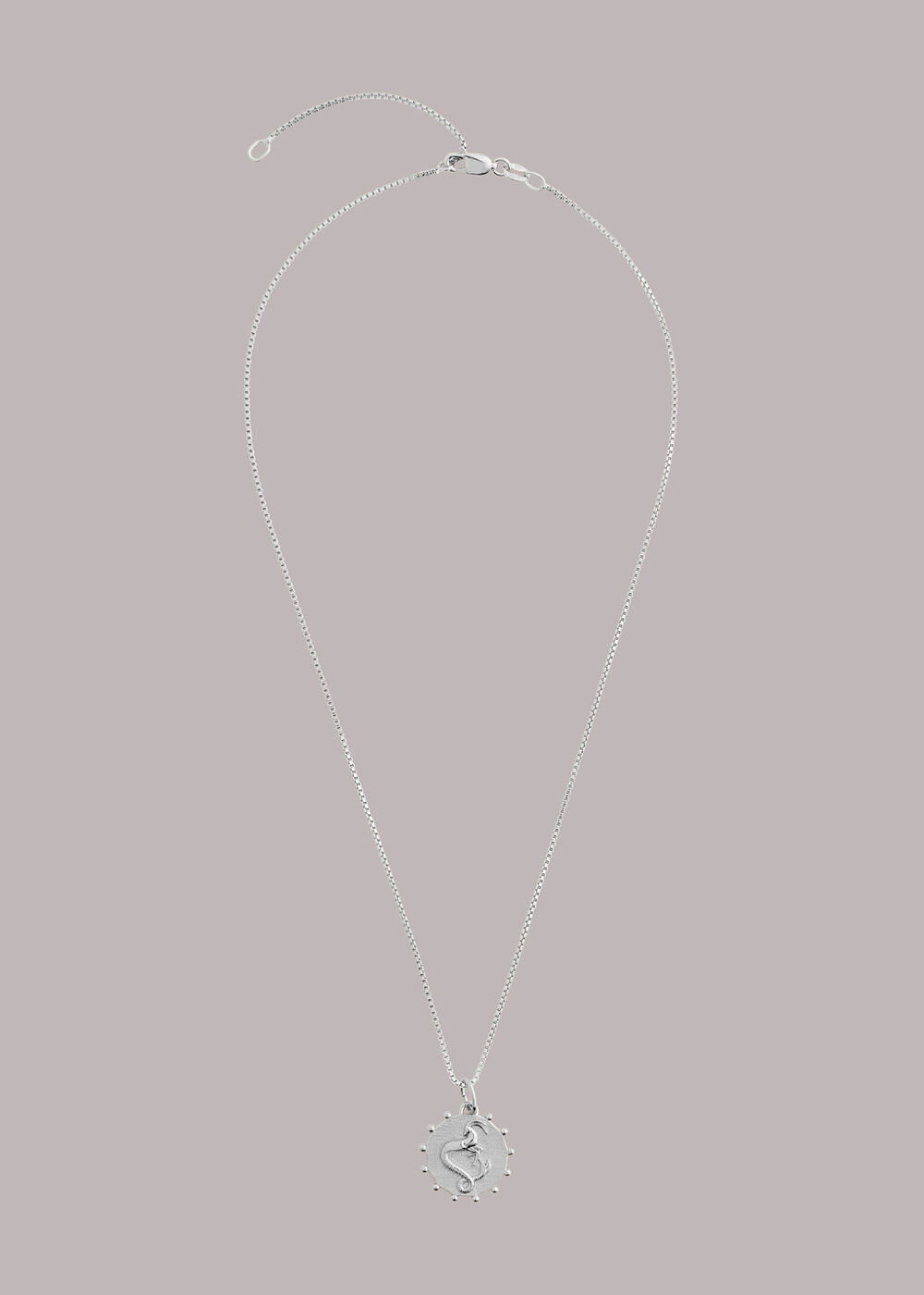 RJ  Capricorn Necklace