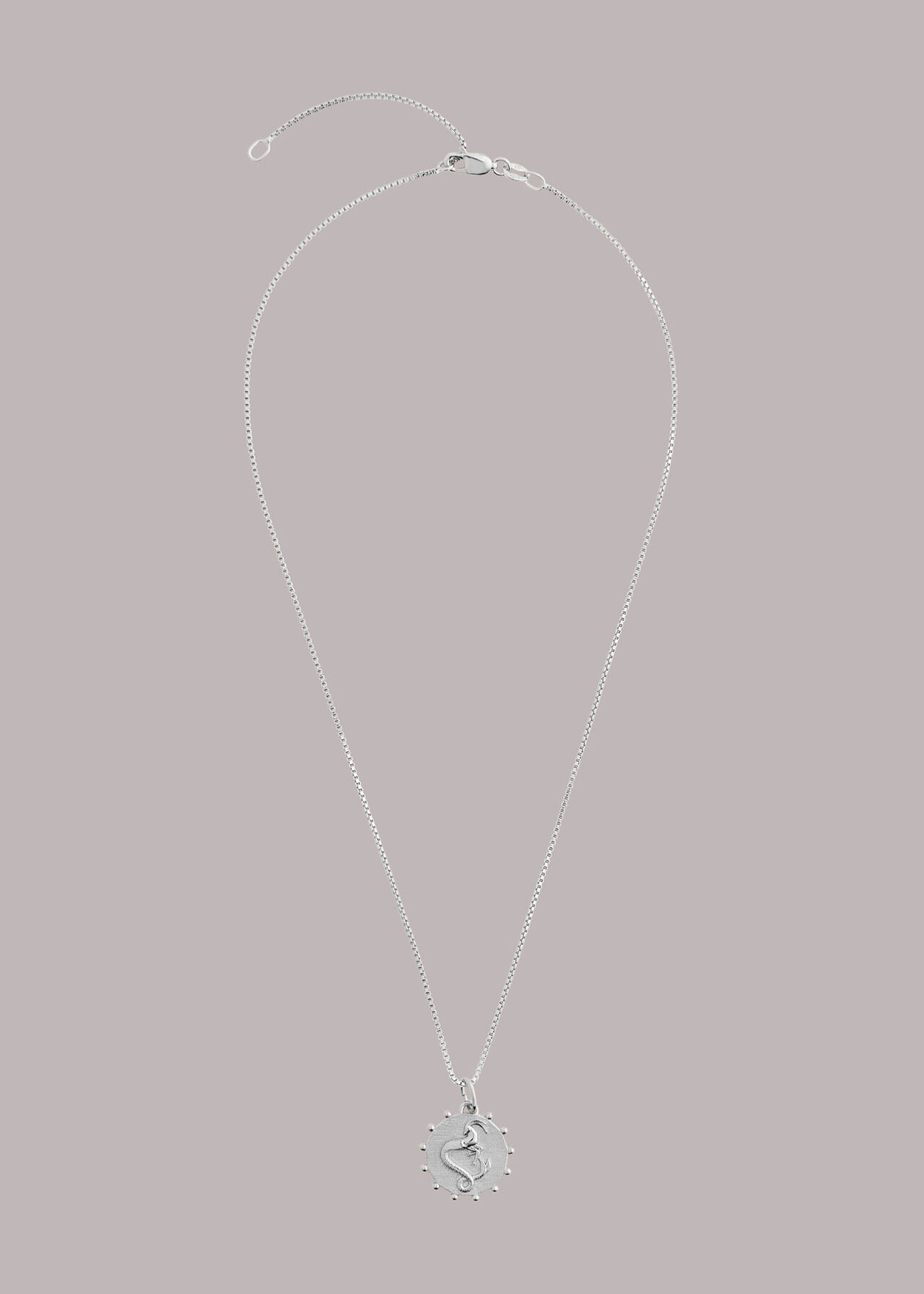 RJ  Capricorn Necklace
