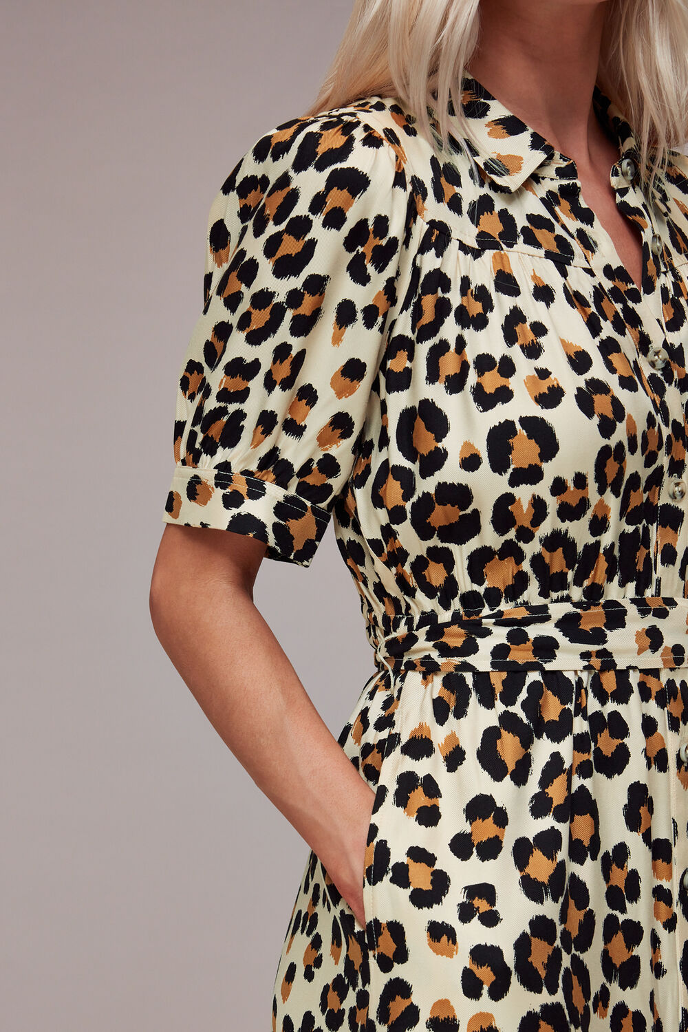 Petite Painted Leopard Midi Dress