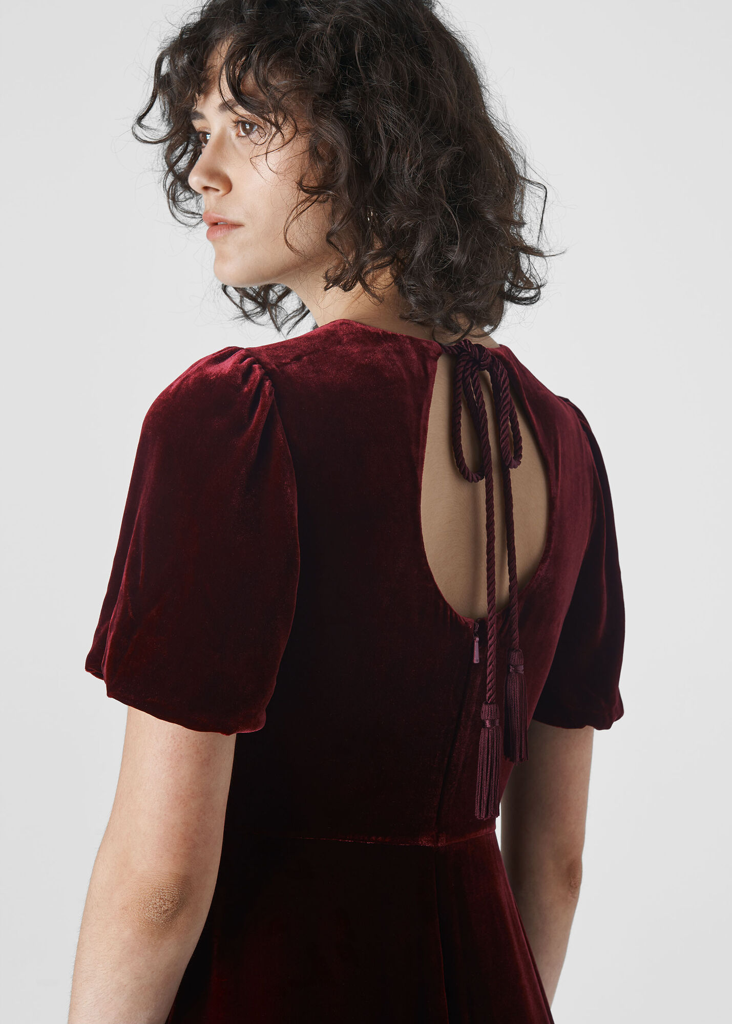 Dark Red Vilimina Silk Mix Velvet Dress Whistles UK