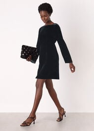 Velvet Flare Sleeve Dress