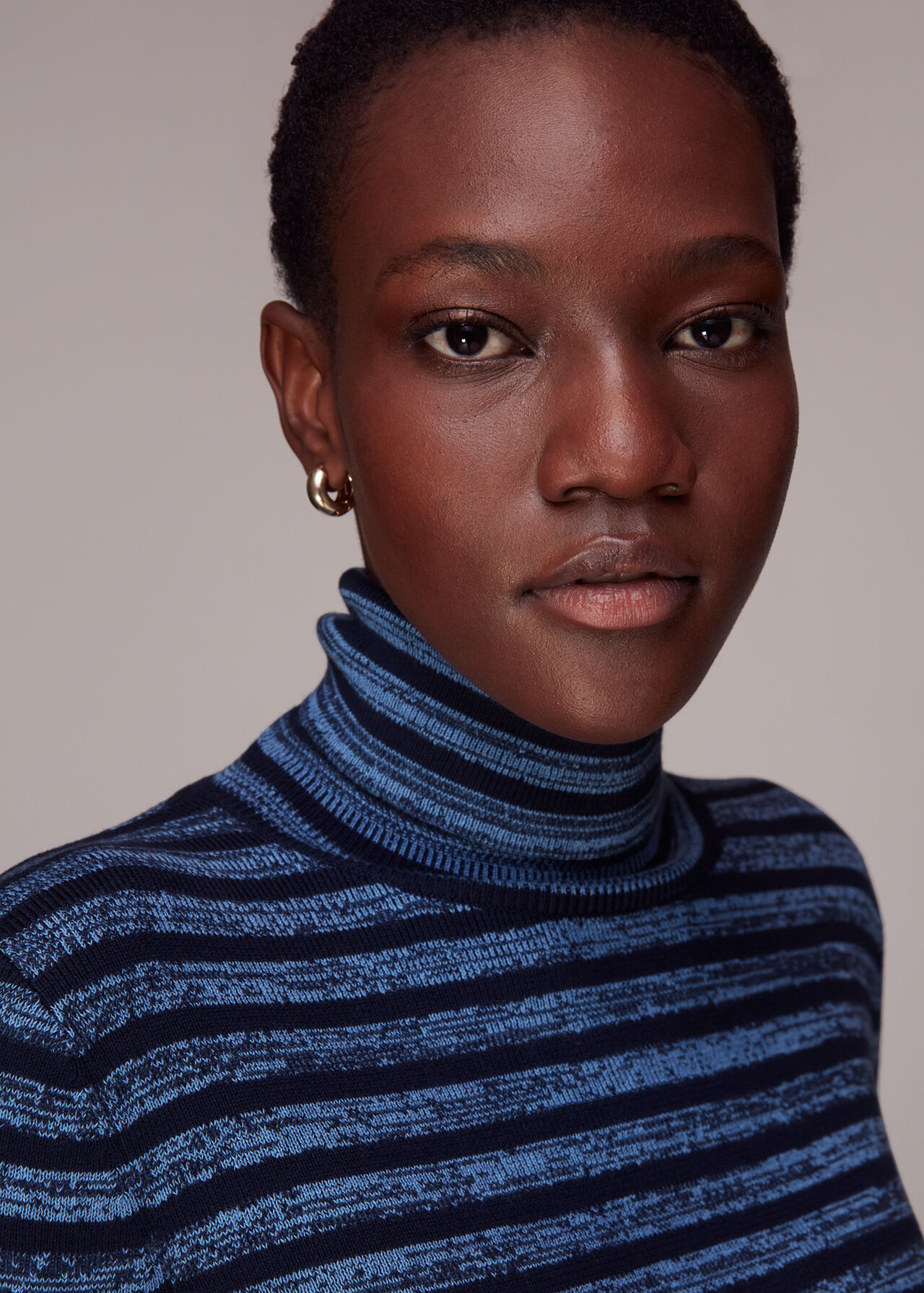 Stripe Polo Neck Knit