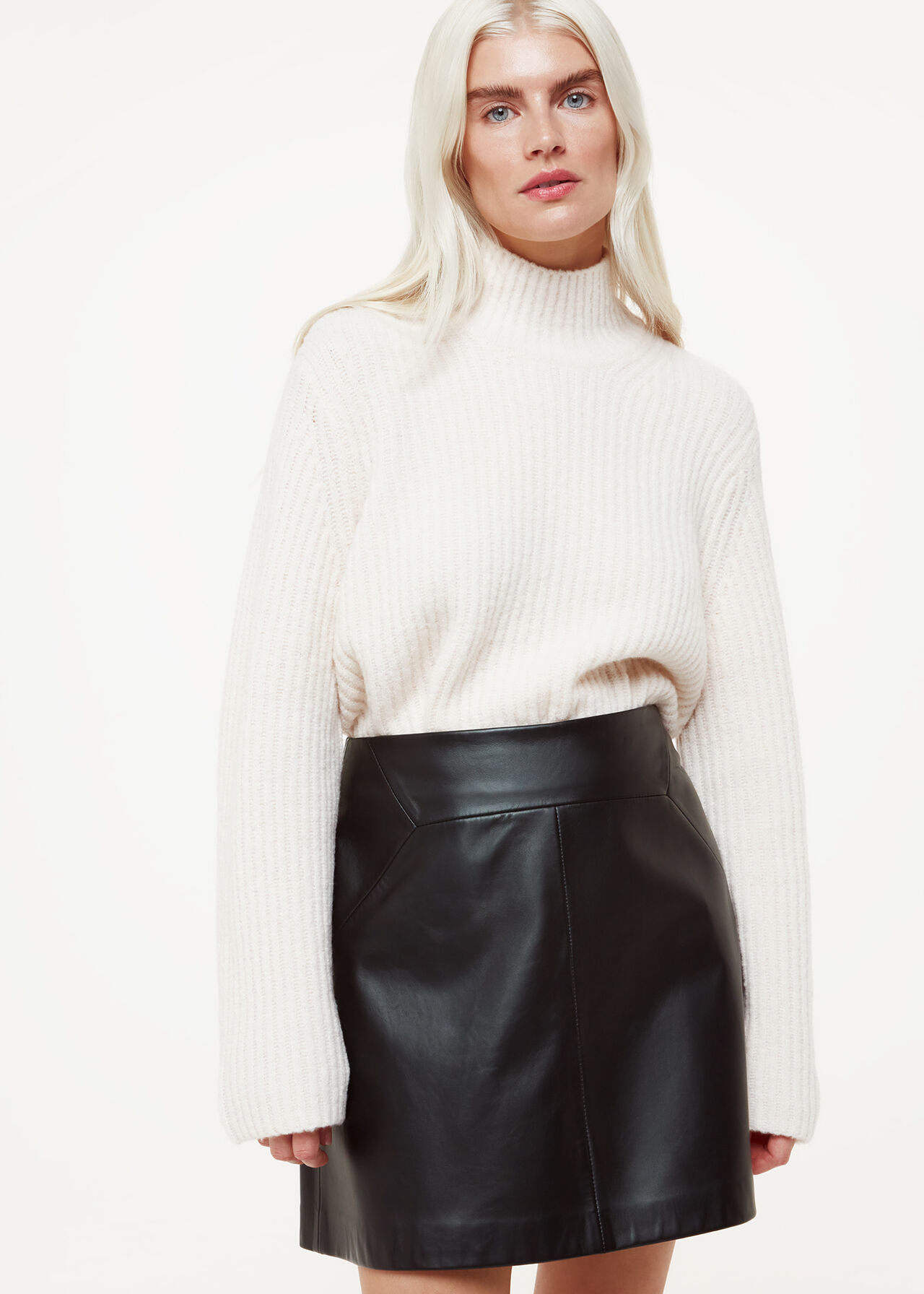 Petite Leather A Line Skirt