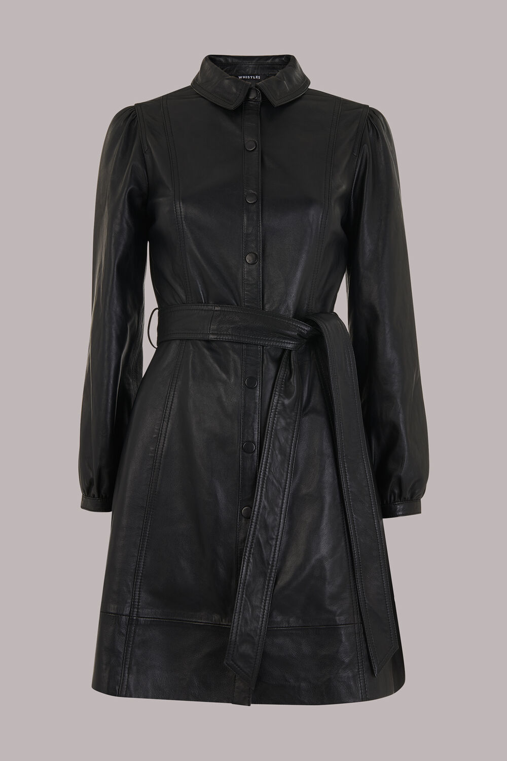 Phoebe Short Leather Dress