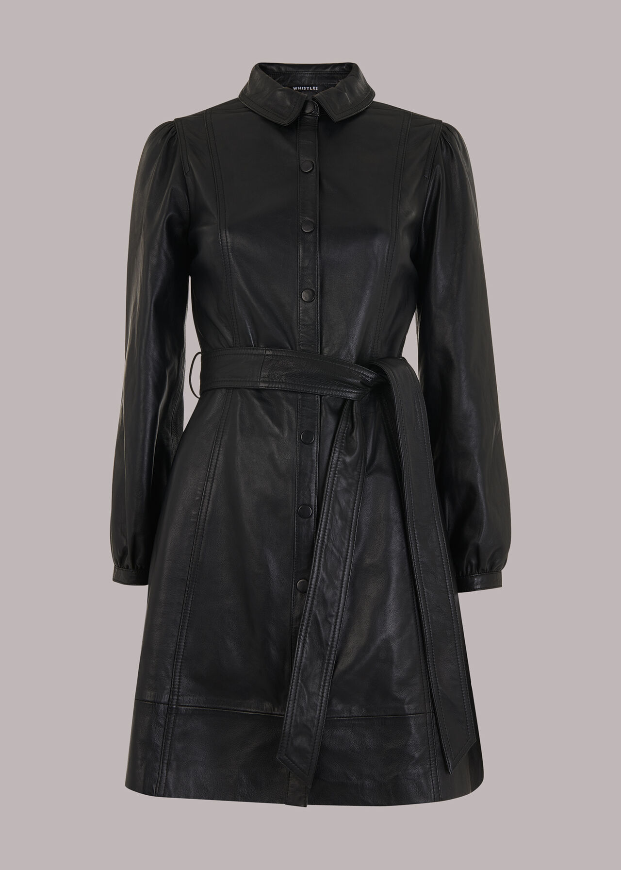 Phoebe Short Leather Dress
