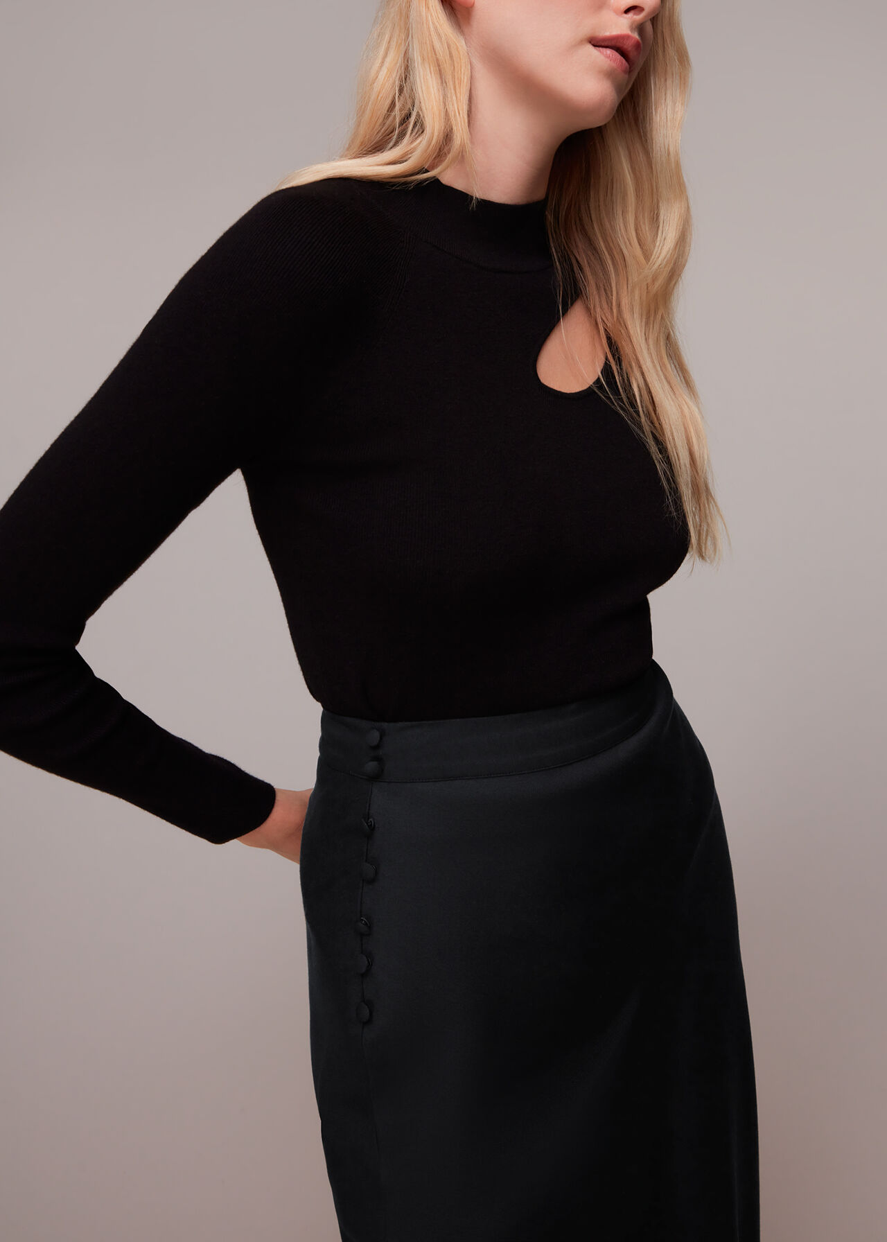 Taylor Bias Cut Skirt