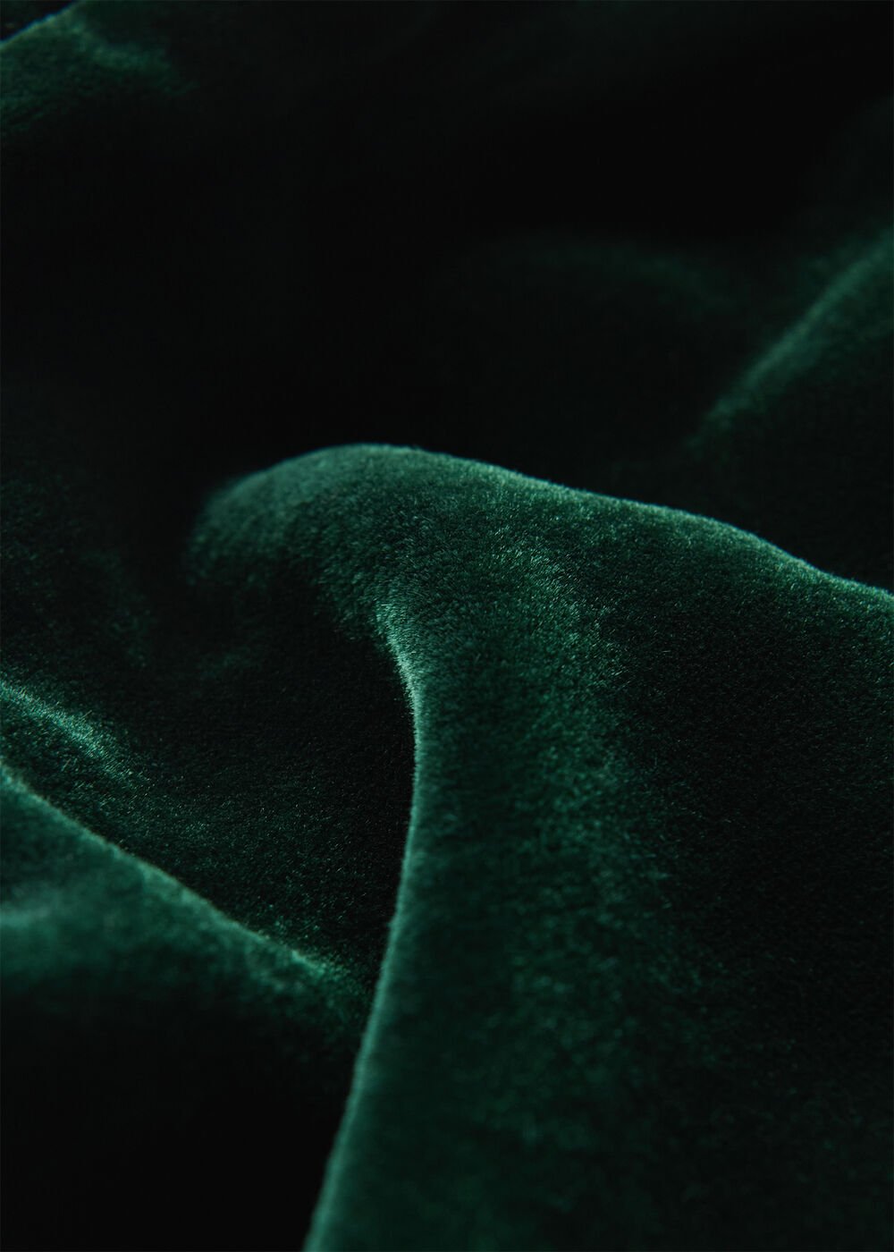 Petite Velvet Flare Sleeve Dress