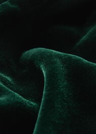 Petite Velvet Flare Sleeve Dress