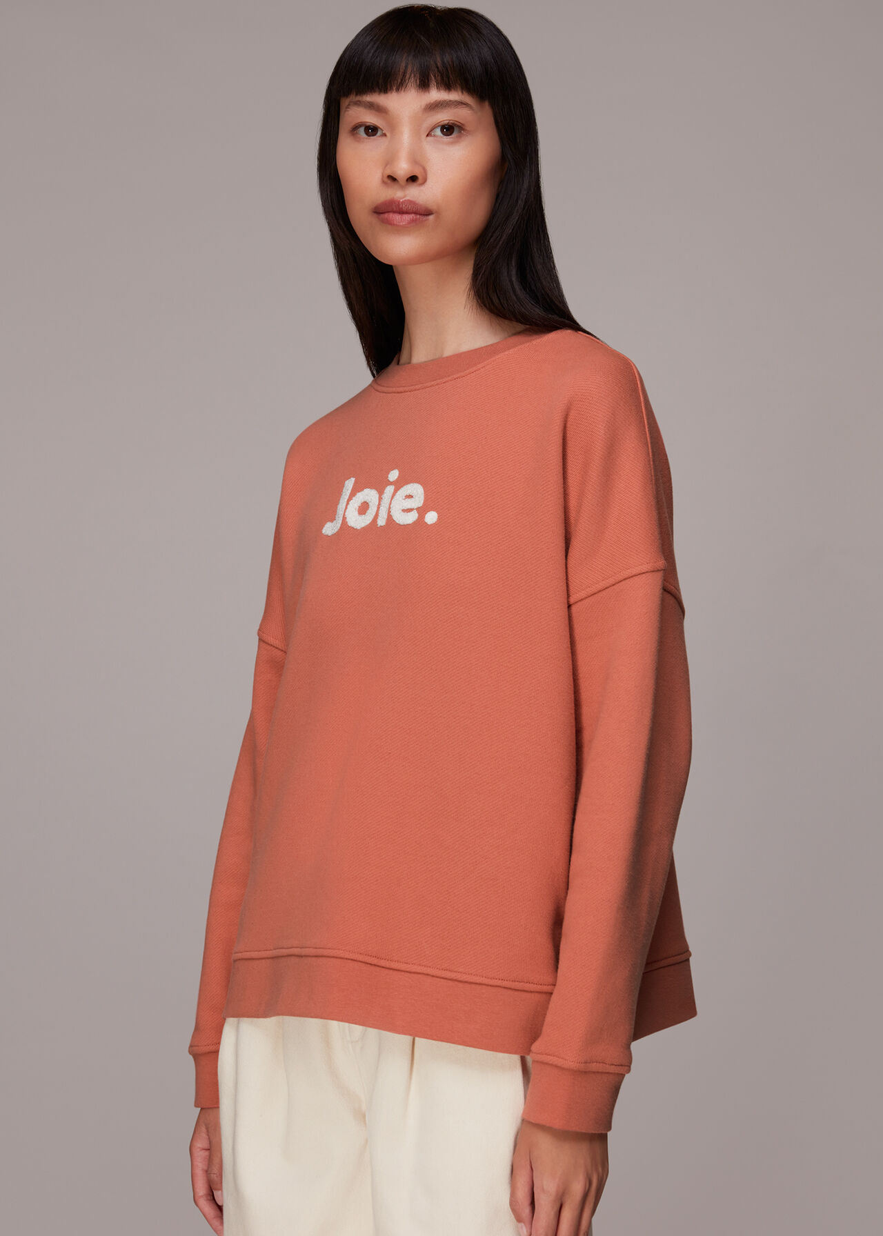 Joie Oversized Logo Sweatshirt