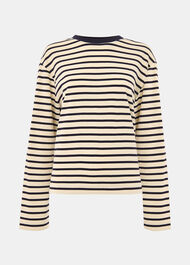 Stripe Cotton Jersey