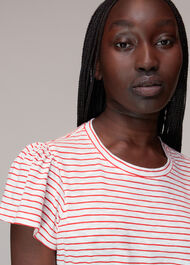 Cotton Frill Stripe T Shirt