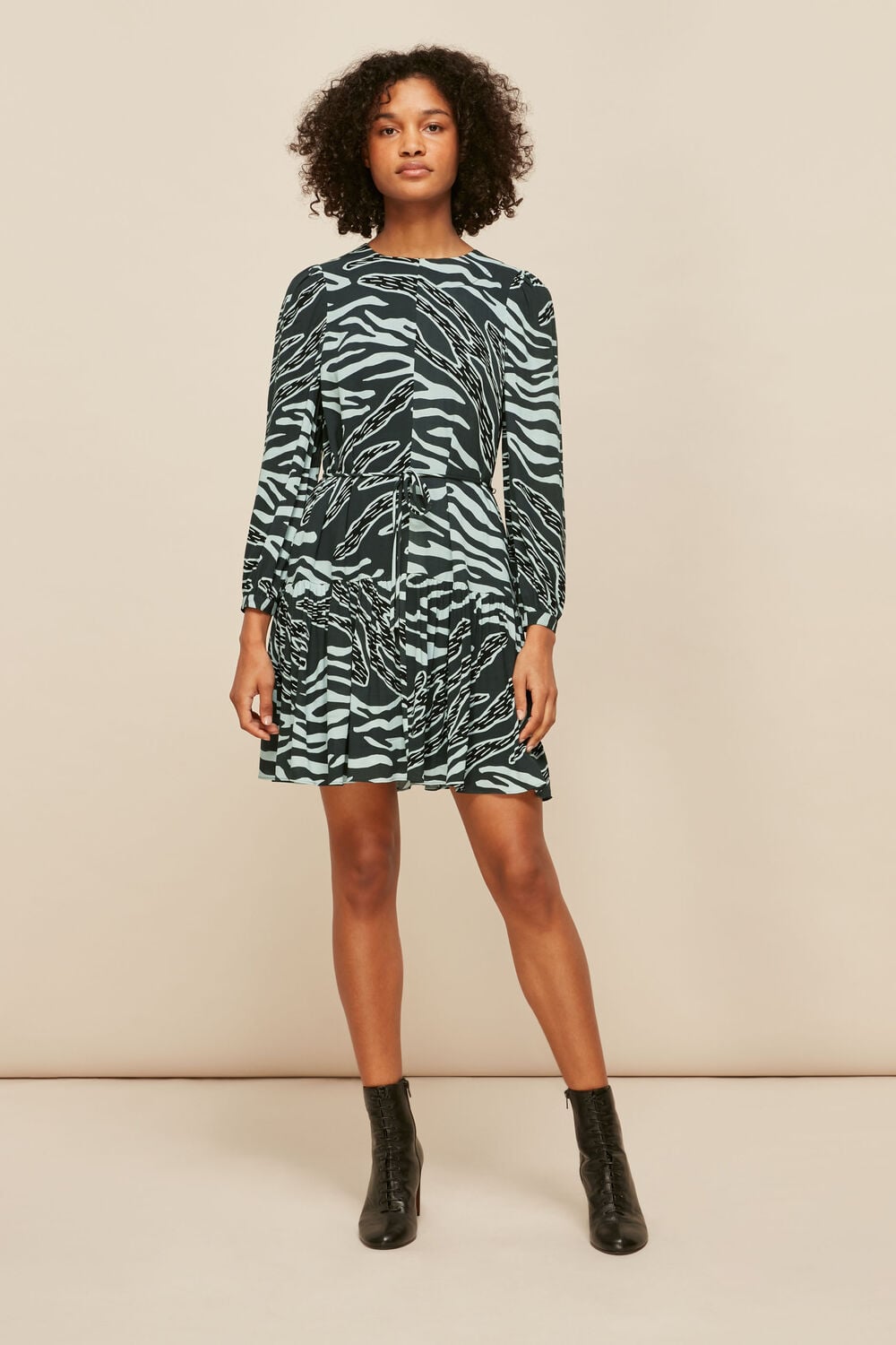 Multicolour Graphic Zebra Print Dress