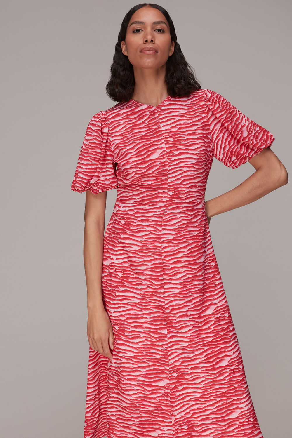 Seafoam Zebra Silk Midi Dress