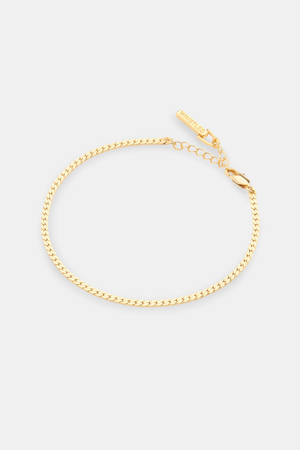 Classic Snake Chain Anklet