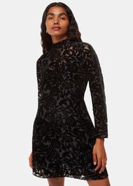 Petite Hot Fix Floral Velvet Dress