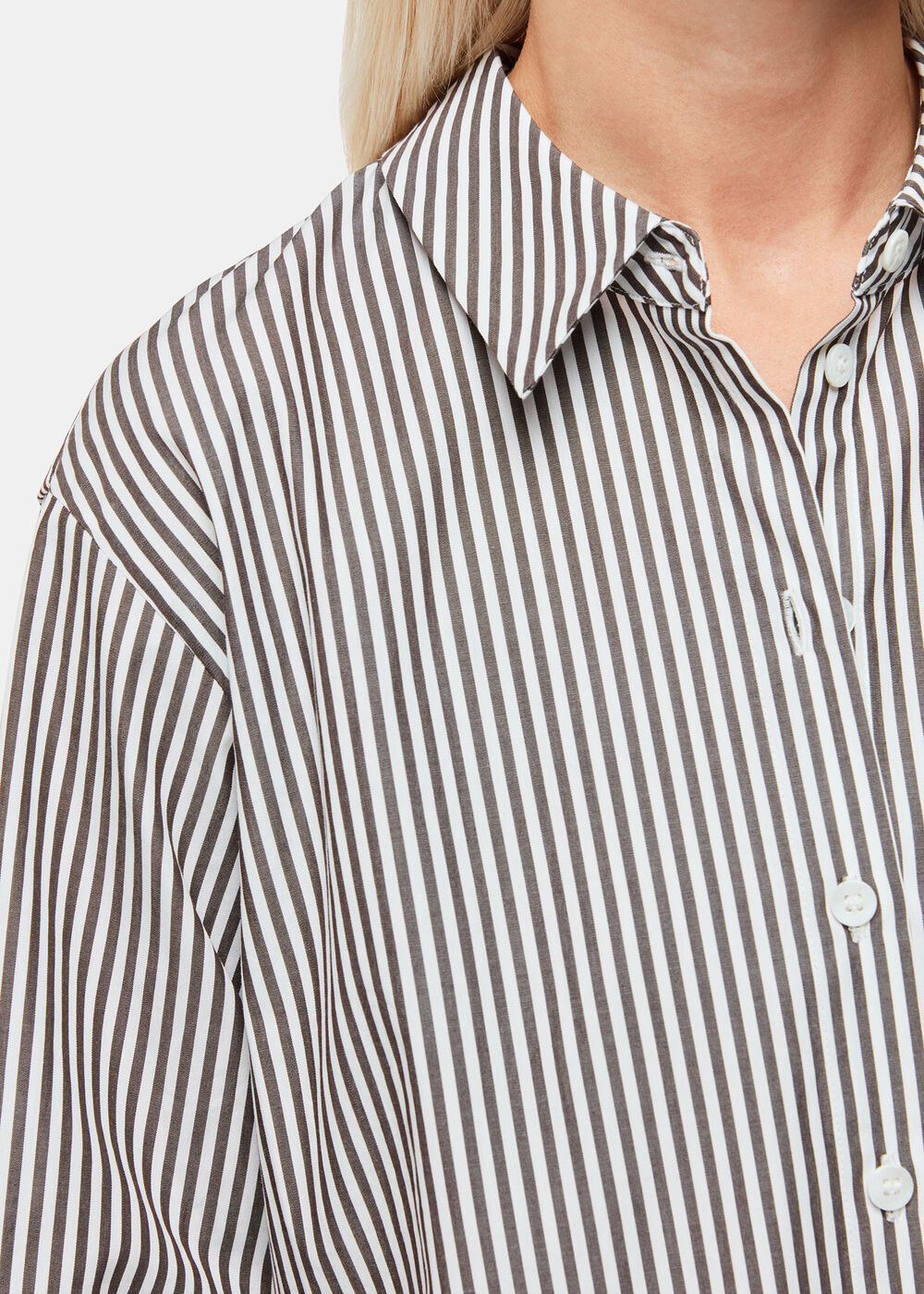 Petite Stripe Relaxed Fit Shirt