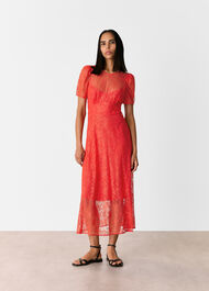 Fay Lace Midi Dress