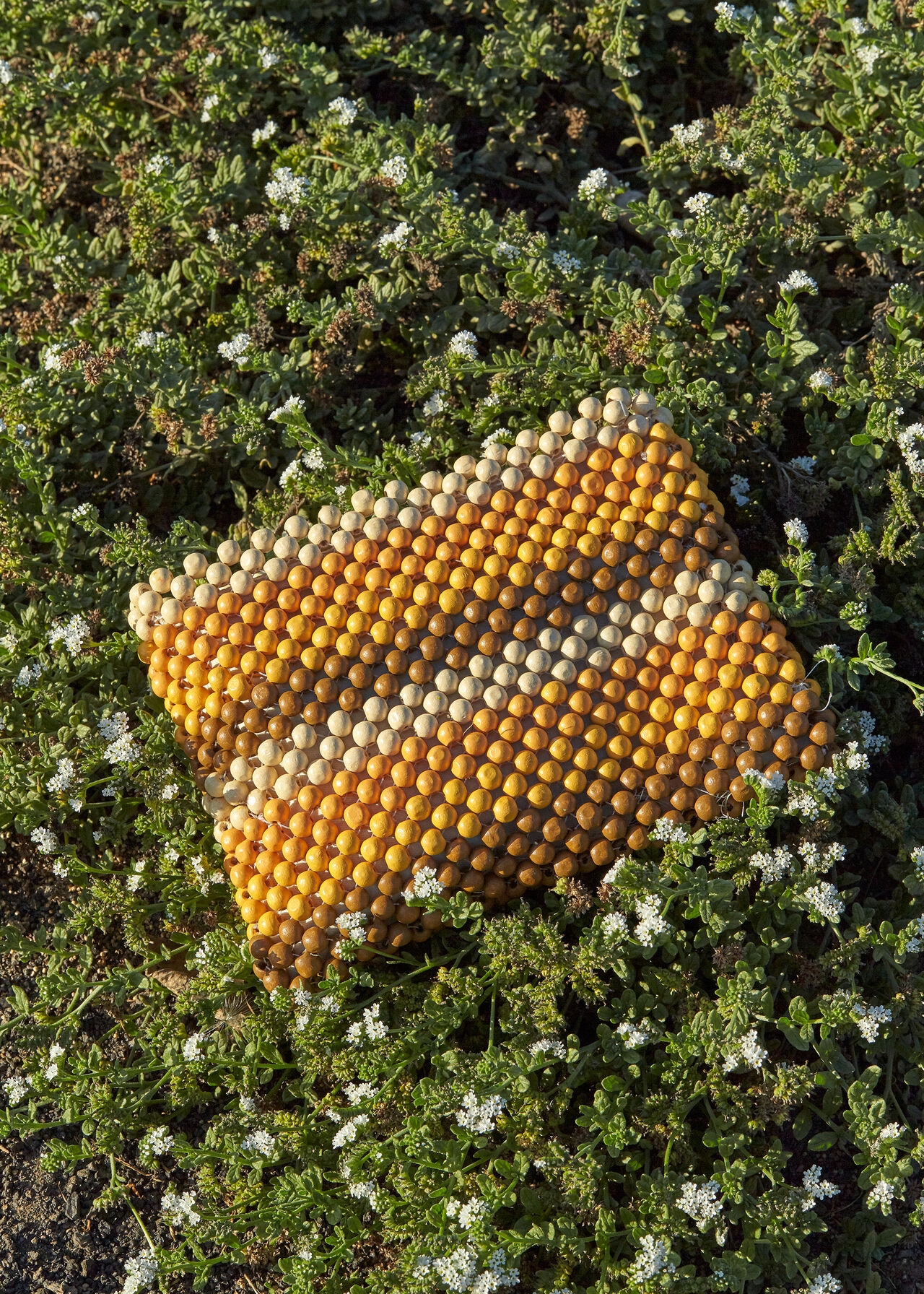 Safah Striped Beaded Clutch