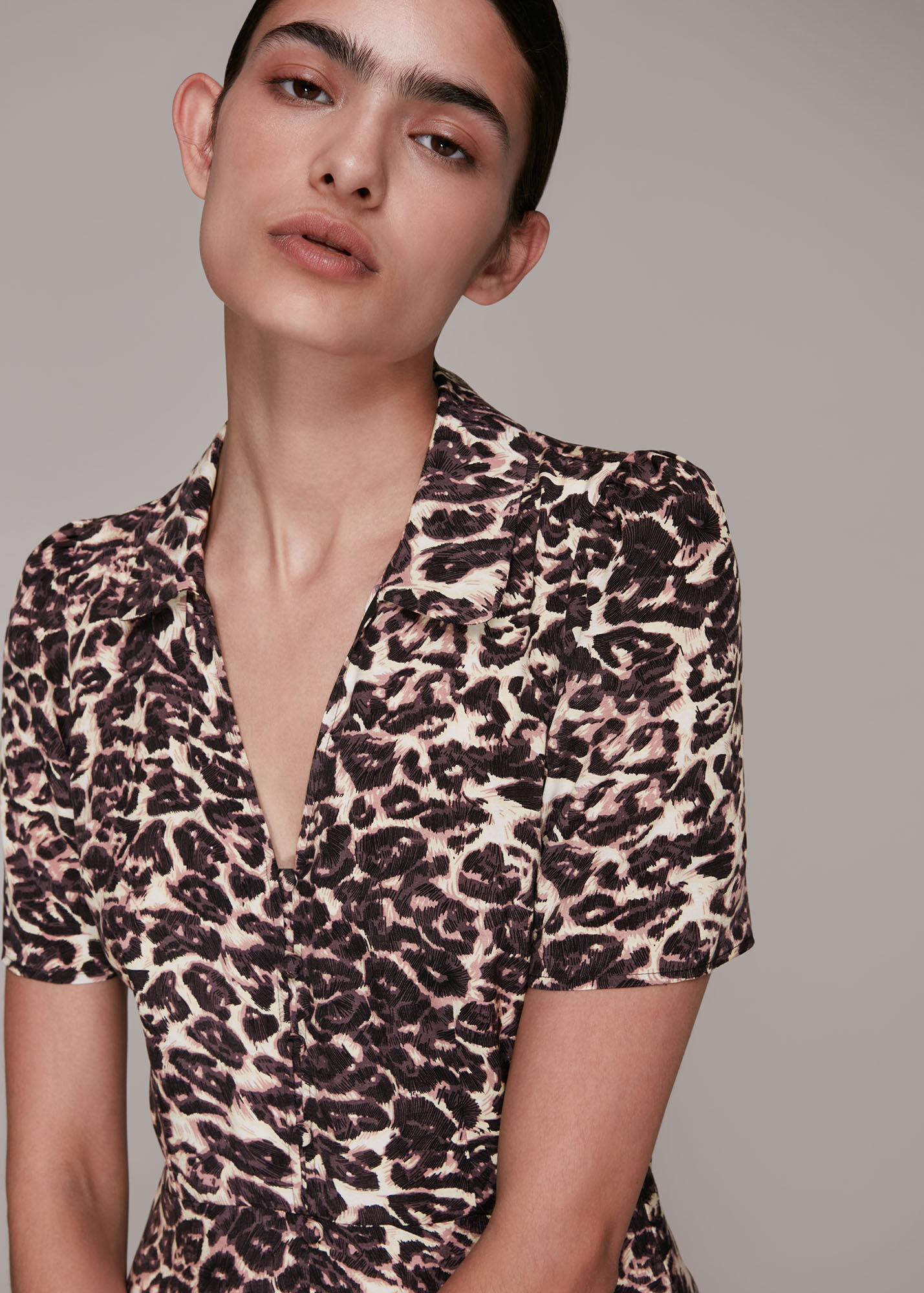 Leopard Print Rowan Clouded Leopard Dress | WHISTLES