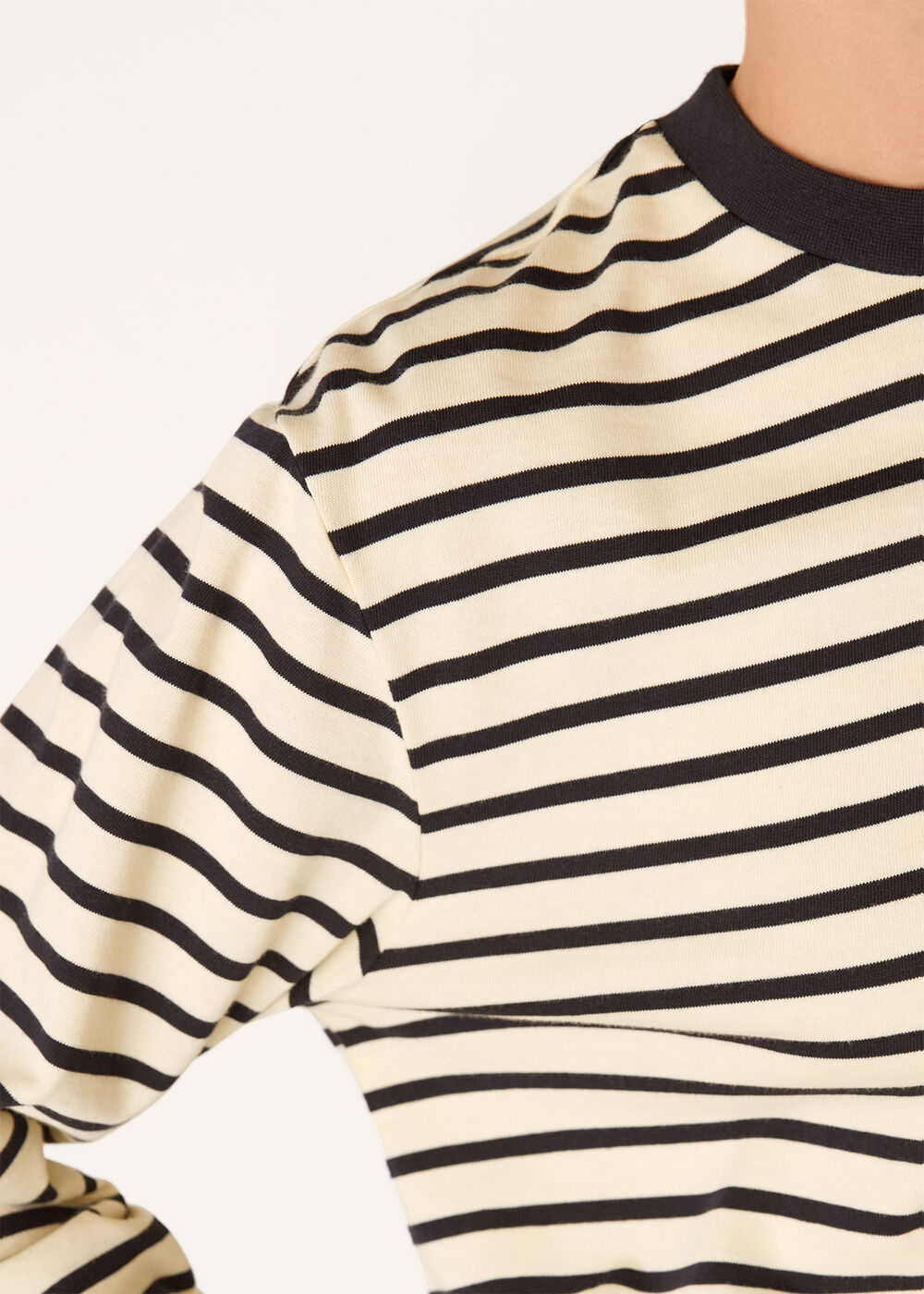 Stripe Cotton Jersey