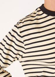 Stripe Cotton Jersey