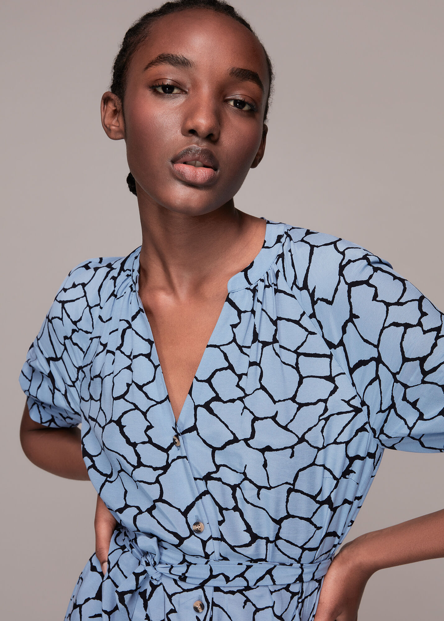 Blue/Multi Giraffe Print Olivia Dress WHISTLES