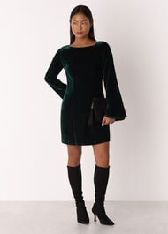 Petite Velvet Flare Sleeve Dress