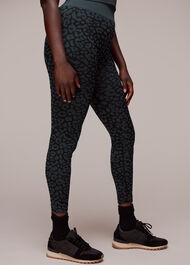 Animal Seamless Sports Legging