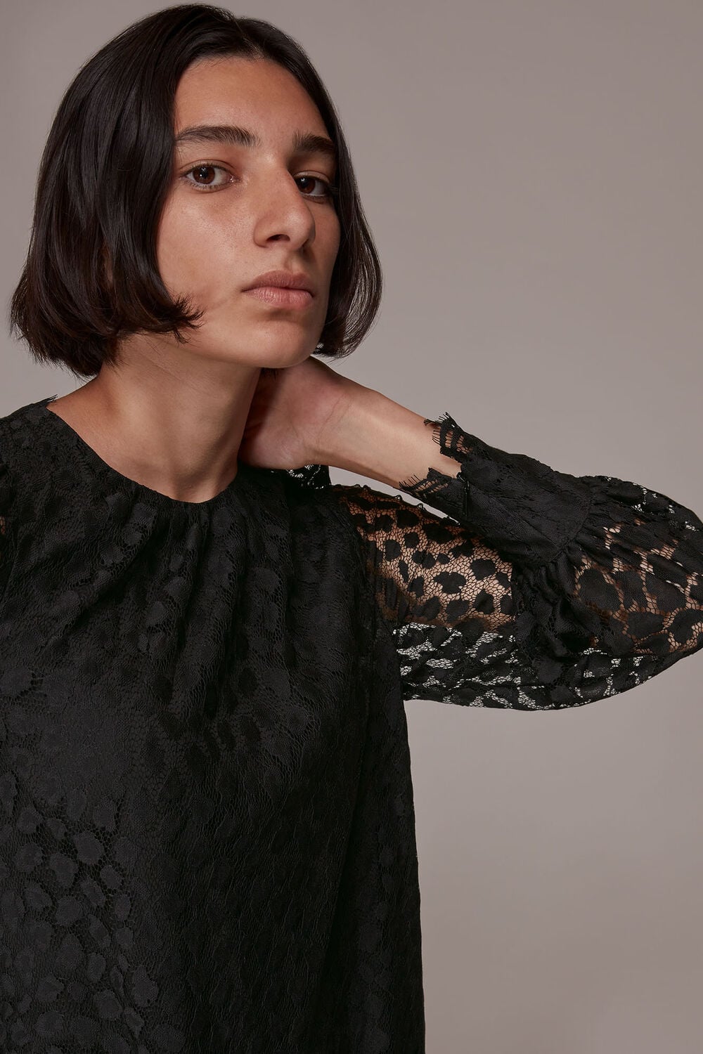 Animal Lace Tie Detail Dress