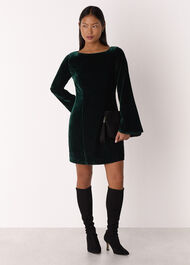 Petite Velvet Flare Sleeve Dress