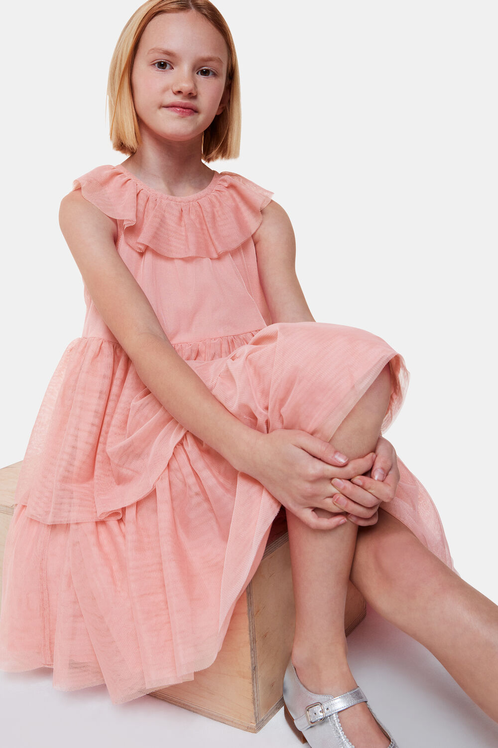 Tilda Tulle Frill Sleeve Dress