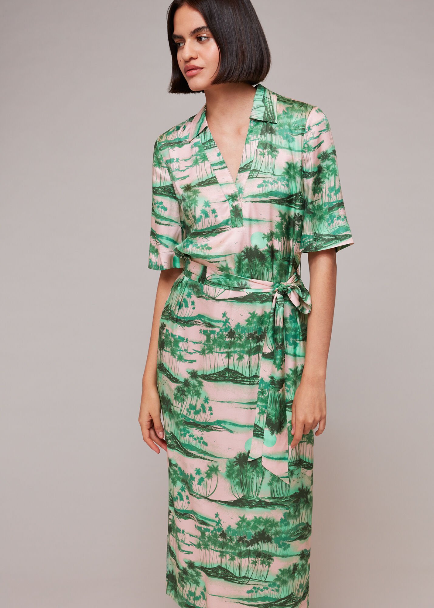 Whistles palm top print shirt dress