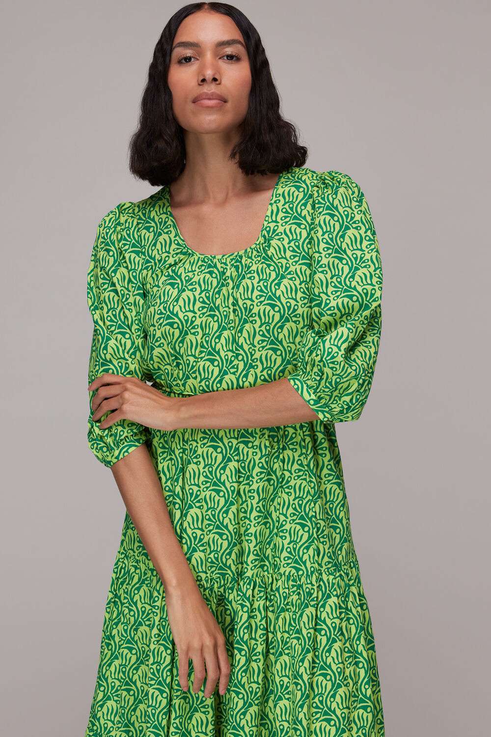 Climbing Vine Trapeze Dress