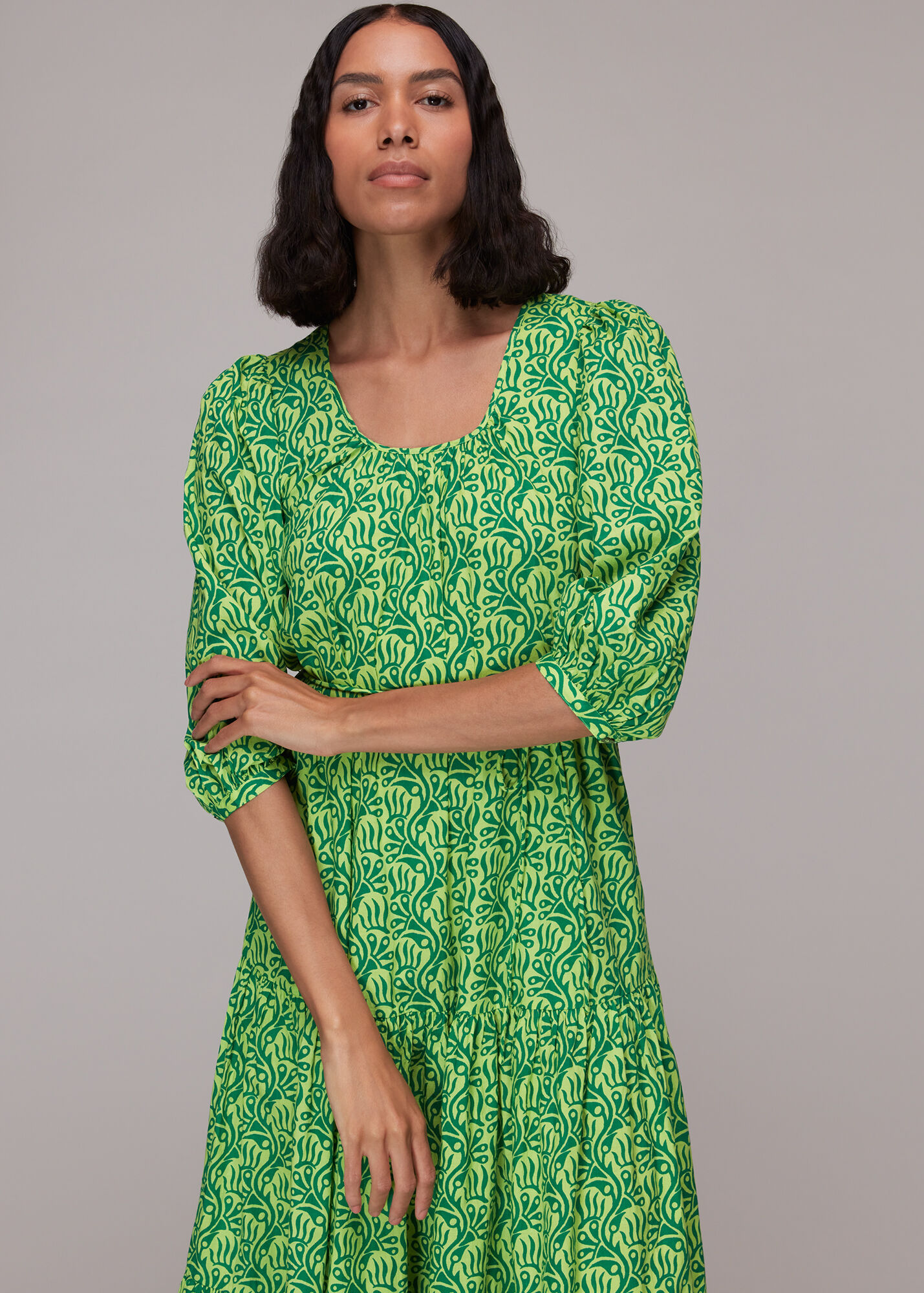 Green/Multi Climbing Vine Trapeze Dress WHISTLES