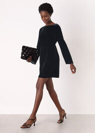 Velvet Flare Sleeve Dress