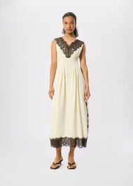 Petite Lace V Neck Spot Midi Dress