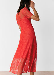 Fay Lace Midi Dress