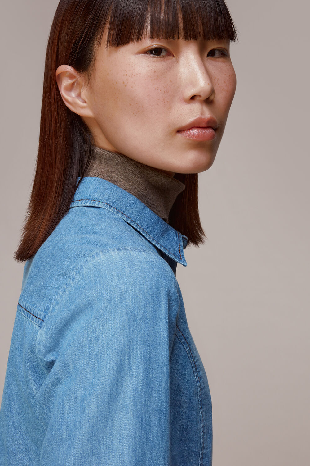 Chambray Dress