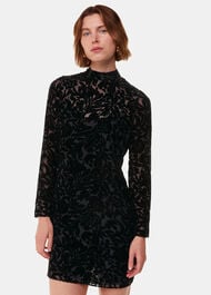 Hot Fix Floral Velvet Dress