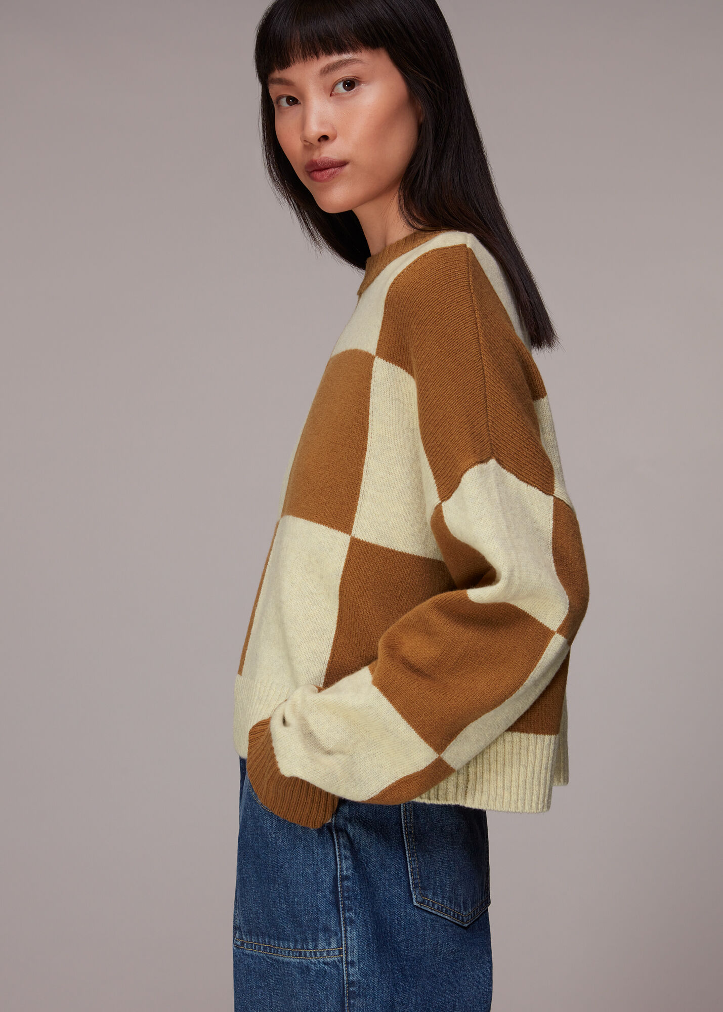 Neutral Check Wool Blend Jumper WHISTLES