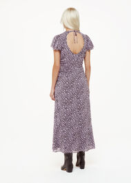 Petite Daisy Field Lola Dress