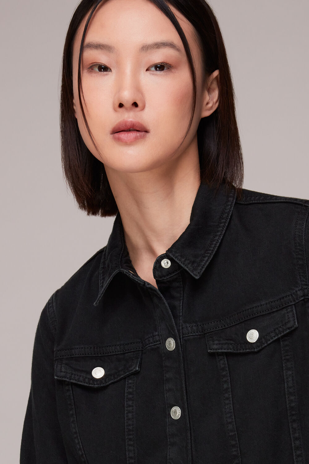 Rosanna Denim Dress
