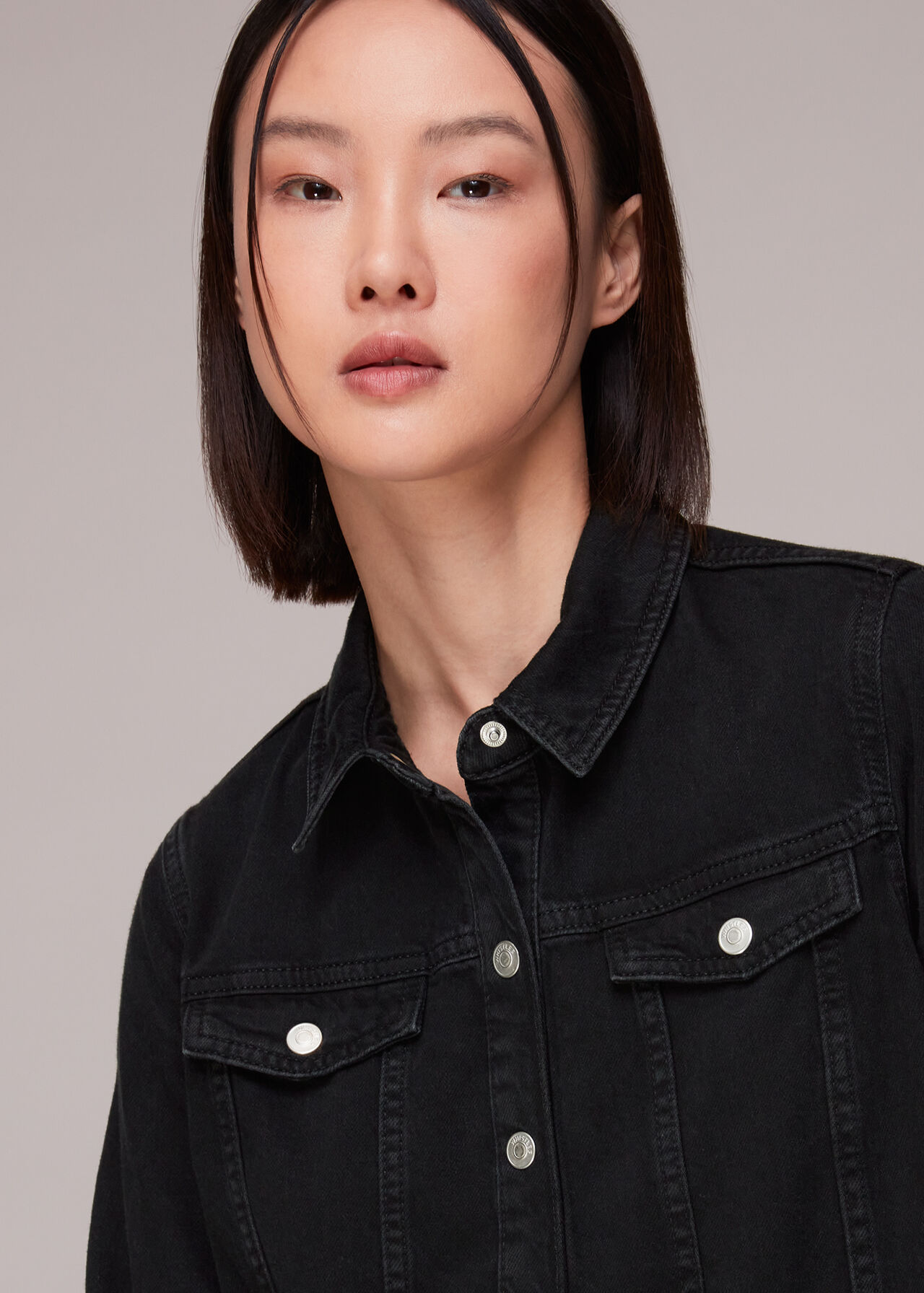 Rosanna Denim Dress