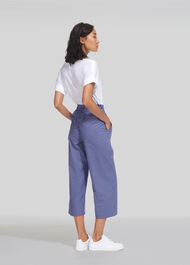 Ash Stripe Poplin Trouser Multicolour