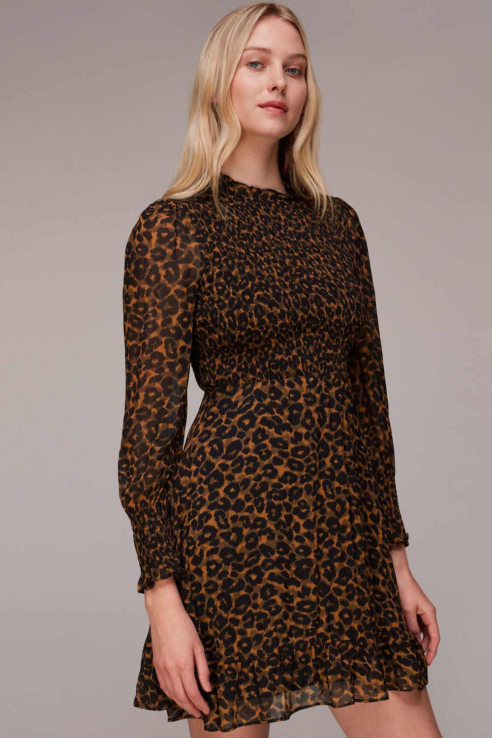 Classic Leopard Shirred Dress